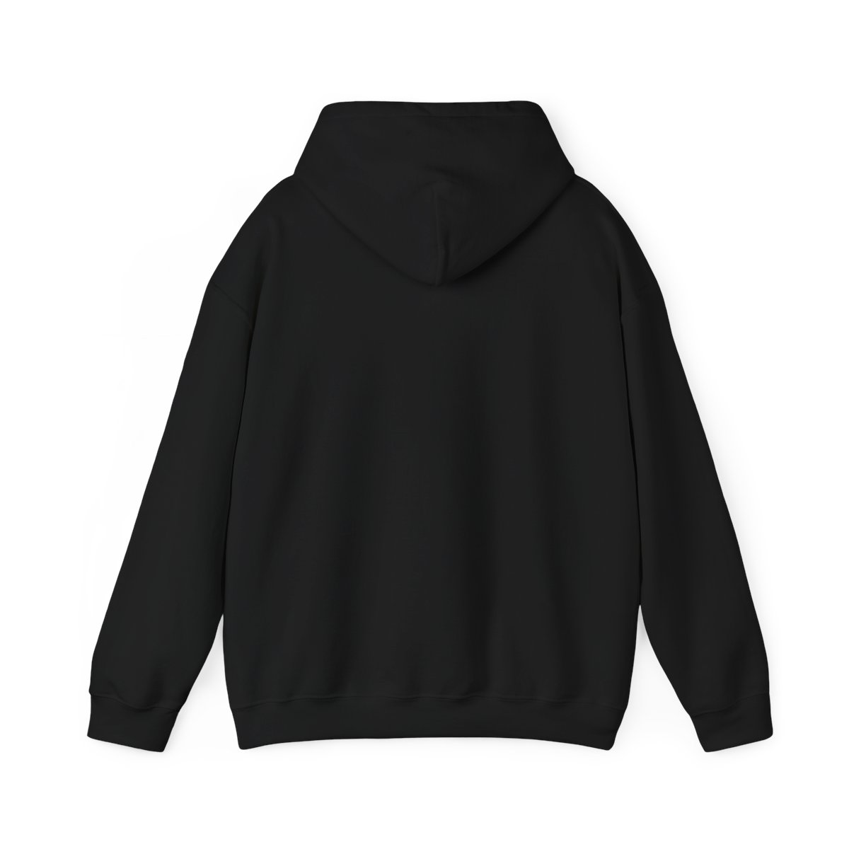 Stagecoach Graphic Hoodie | Western Style Casual Pullover | Lana Del Rey - alternate angle 1, merchandise